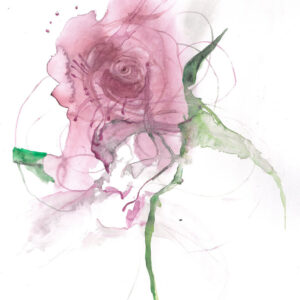 Infinitwirl Rosa