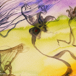 Musica Natura