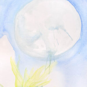 Luna Diurna 4